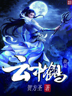 我是云中鹤,偶尔掠空过
