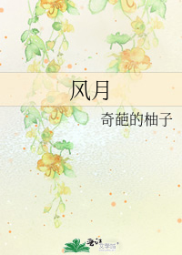 风月是什么意思