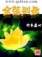金莲别录小说