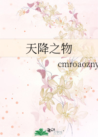 天降之物f