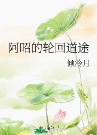 阿昭的轮回道途讲什么