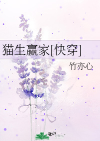 猫生赢家[快穿] by 竹亦心