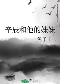 辛辰和他的妹妹小说