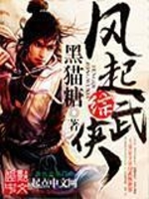 风起综武侠 小说