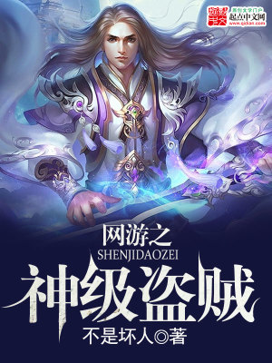 网游之神级盗贼txt