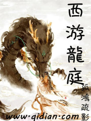 西游龙小说