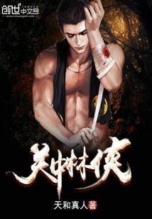 电视剧关中侠士
