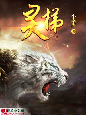 灵梯软件