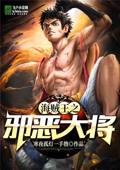 海贼王之邪恶大将除了飞卢还有什么