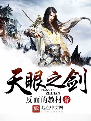 天眼之剑 反面的教材
