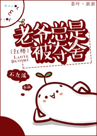 老爷 小说
