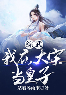 综武：我在大宋当皇子