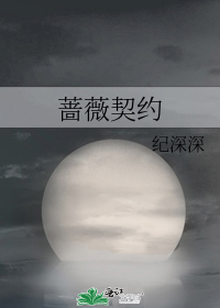 蔷薇契约小说全文免费阅读