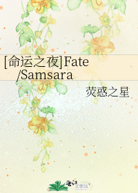 [命运之夜]fate/choice