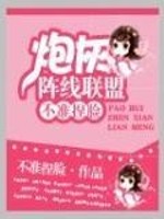 炮灰阵线联盟 小说