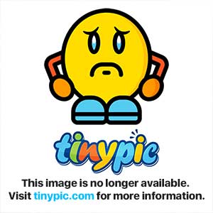 冰之帝王(竞技)TXT下载