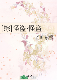 综怪盗・怪盗