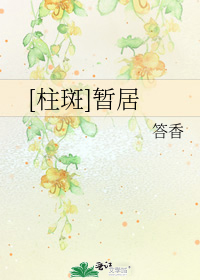 柱斑暂居txt