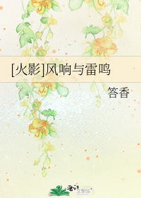 火影风响与雷鸣