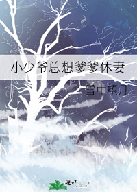 小少爷总想爹爹休妻 小说