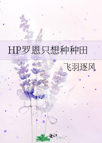 hp罗恩只想种种田作者:飞羽逐风