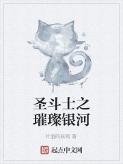 圣斗士重生银河之魂