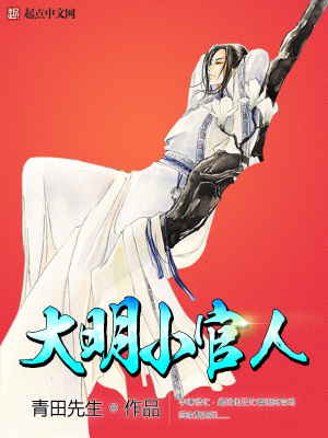 大明小官人小说TXT