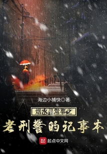 烟水寻常事之老刑警的记事本 小说