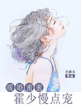 暖婚蜜蜜:霍少慢点宠