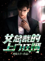 女总裁的上门狂婿叶凡