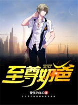 至尊奶爸小说
