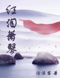红泪萧琴 小说