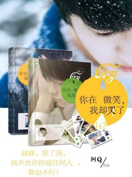 你在微笑,我却哭了小说结局
