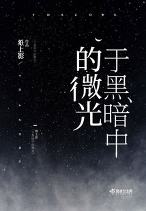 黑暗中的微光战争论