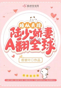 天价妻约:陆少强势追妻