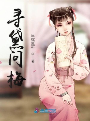 寻黛问梅小说