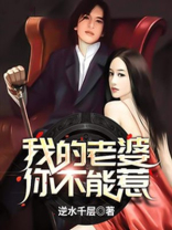 我的老婆你不能惹 小说