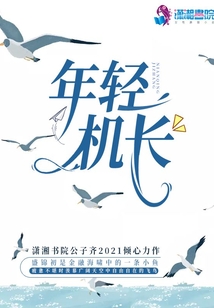 年轻机长坠机