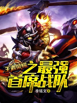 王者荣耀之最强首席战队 小说