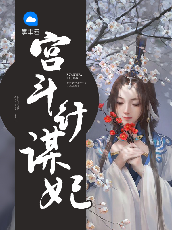 宫斗妃设格式