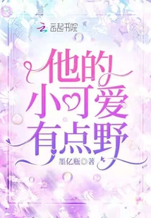 他的小可爱后续