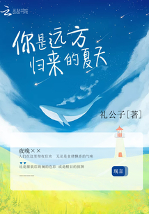 你是远方归来的夏天歌词