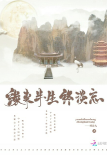 半生缘分
