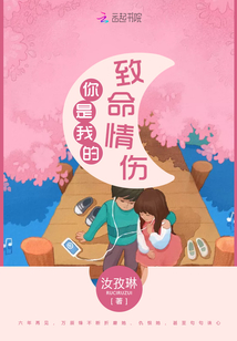 你是我的致命情伤小说