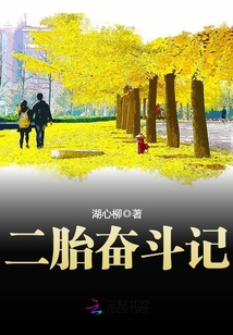 二胎奋斗记漫画真人版