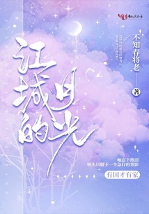 江城的月光小说好看吗百度云