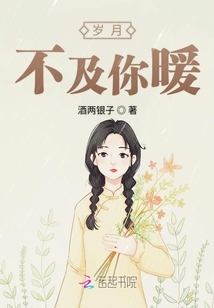 不及岁月小说