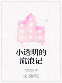小呗流浪记