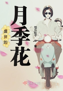 盛开的月季花海