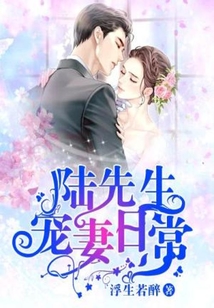 顾先生的宠妻日常小说免费阅读